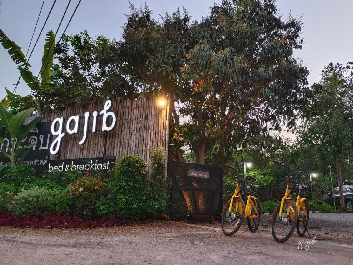 Gajib Bed&Breakfast أمفاوا المظهر الخارجي الصورة