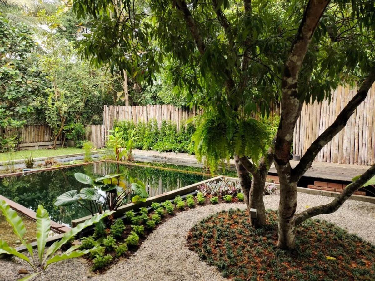 Gajib Bed&Breakfast أمفاوا المظهر الخارجي الصورة