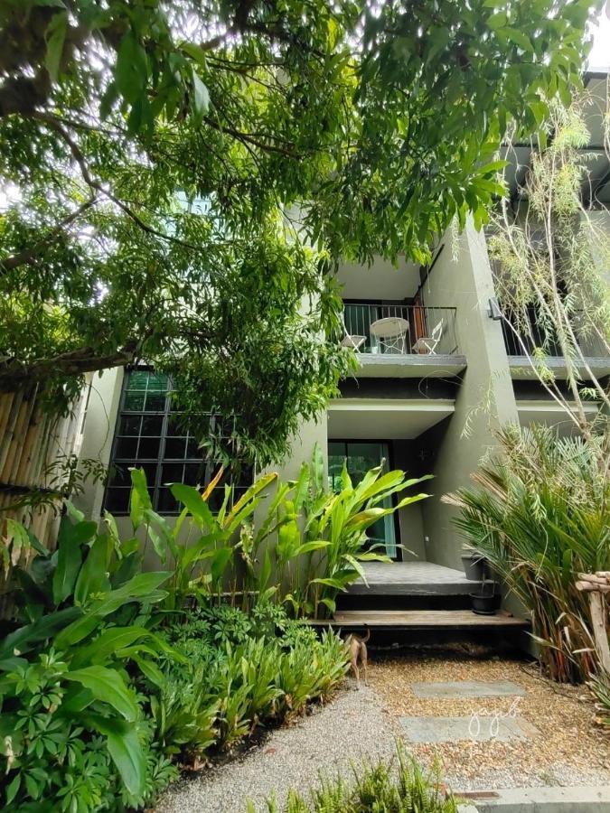 Gajib Bed&Breakfast أمفاوا المظهر الخارجي الصورة