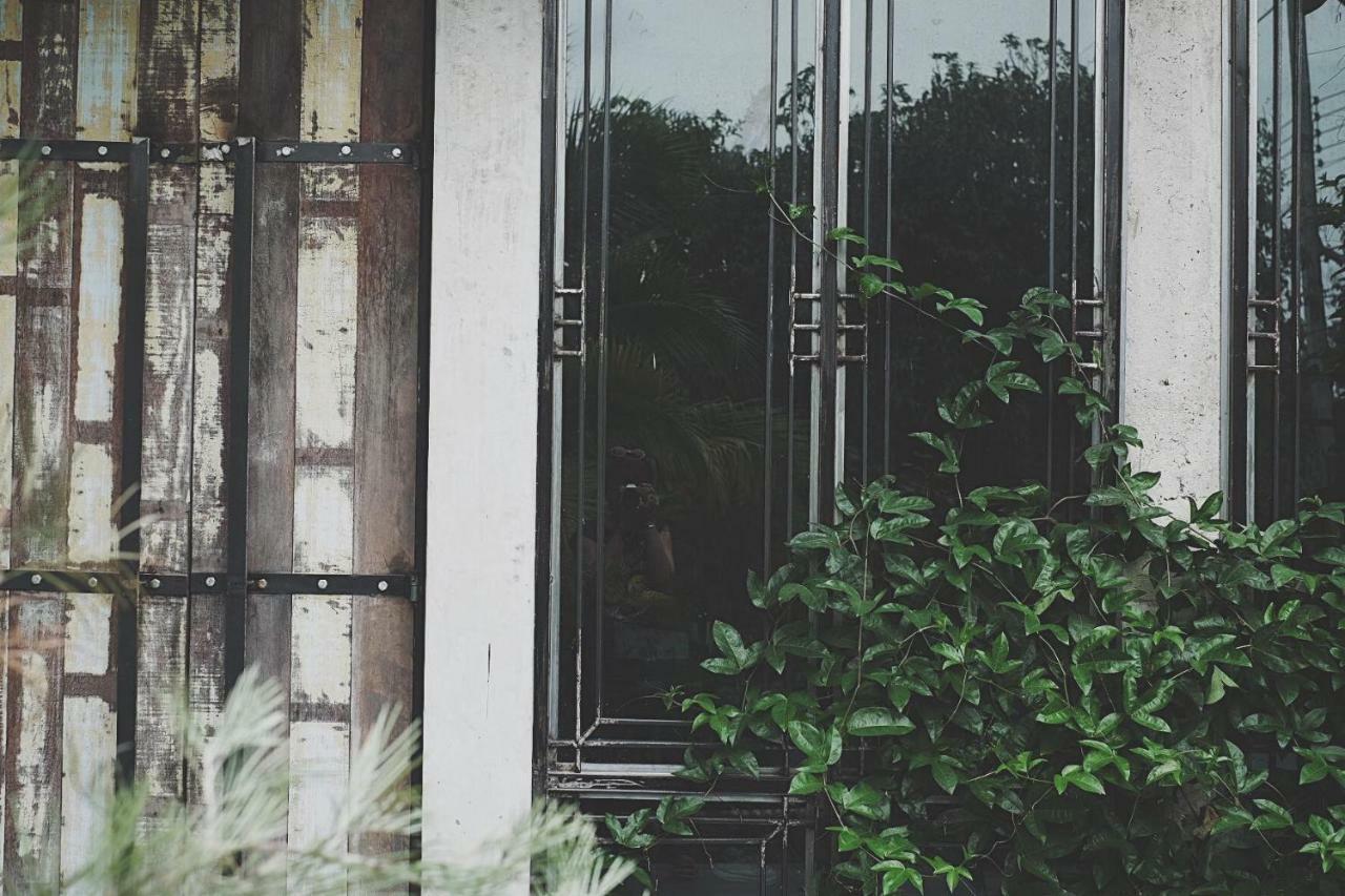 Gajib Bed&Breakfast أمفاوا المظهر الخارجي الصورة